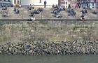 Rheinmauer II